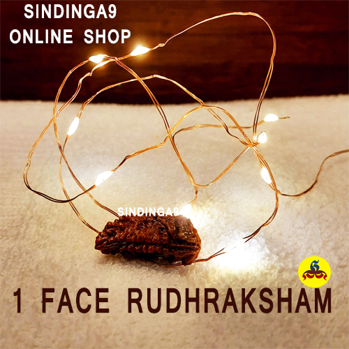 Rudhraksham - All faces