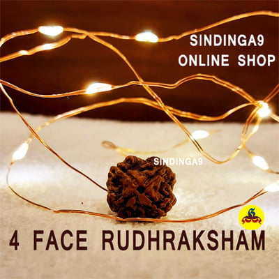 Rudhraksham - All faces Rudhraksham - All faces