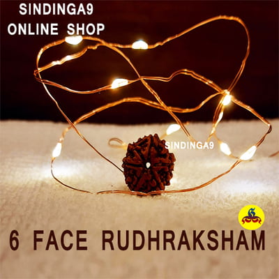 Rudhraksham - All faces