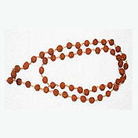 Rudraksha maalai 5 face Rudraksha maalai 5 face