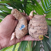 Karu manjal Karu manjal