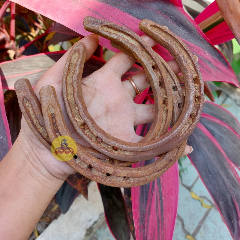 Horse shoe Magnet - Kuthirai laadam