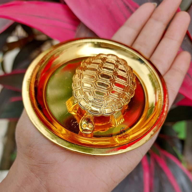 Vastu Aamai tortoise