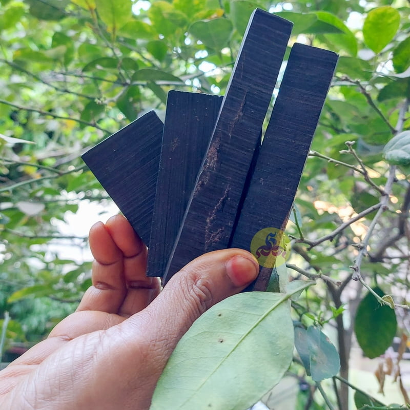 Karungali Kattai Karungali Kattai