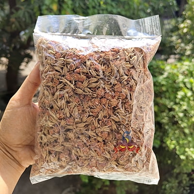 Magizham poo / magudam poo 100g