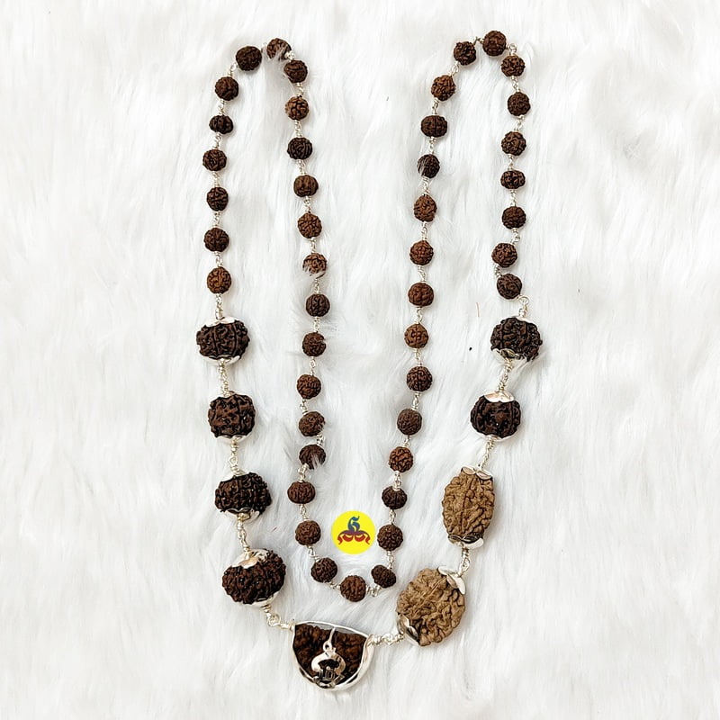 Rudraksha maalai 5 face Rudraksha maalai 5 face