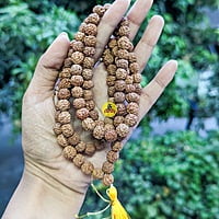 Rudraksha maalai 5 face Rudraksha maalai 5 face