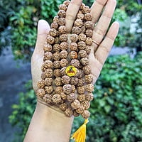 Rudraksha maalai 5 face Rudraksha maalai 5 face