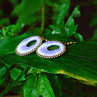 Ring earring Ring earring