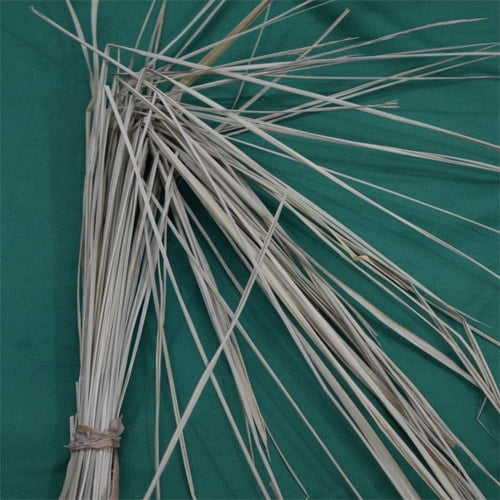 Darbai grass Darbai grass