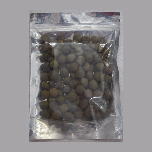 Kazharchi kaai or fever nut Kazharchi kaai or fever nut